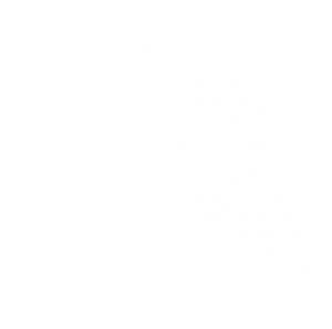 Logo Tiertherapie Piotrowski